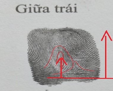 Tật cứng đầu 3